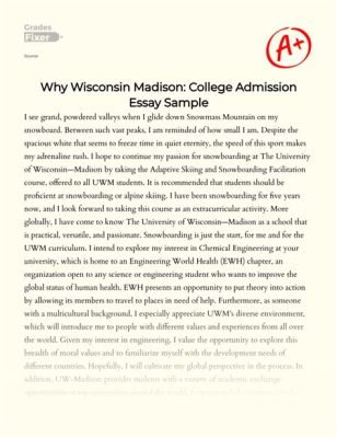 Why UW Madison Essay Examples: A Journey into Academic Excellence